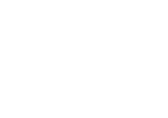Flex Calisthenics Coaching